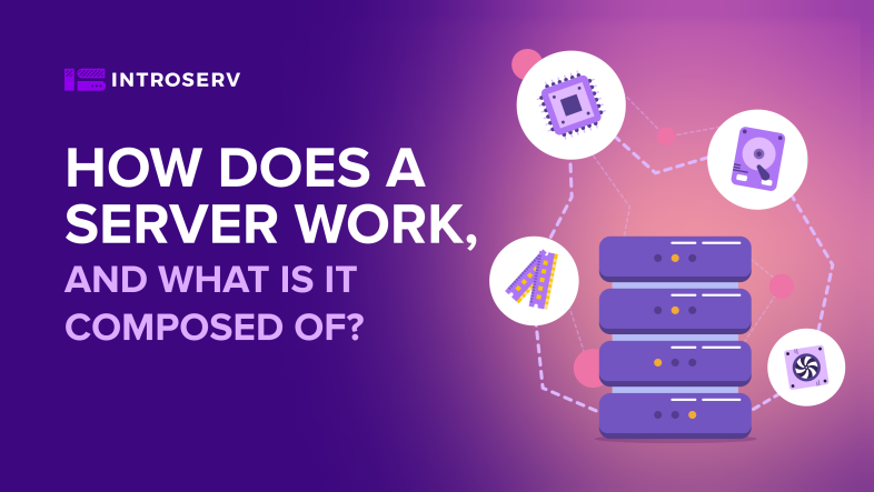 How does the server work?