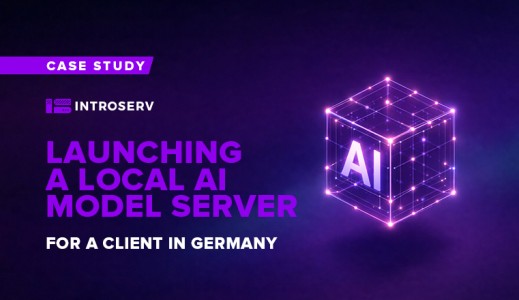 Launching a local AI model server for a German client