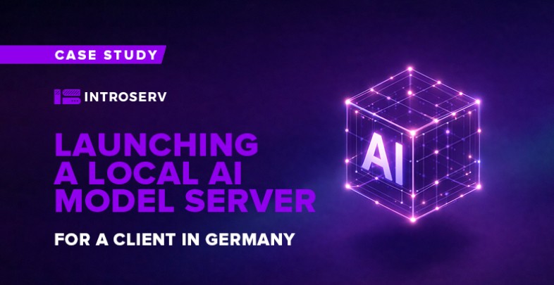 Launching a local AI model server for a German client