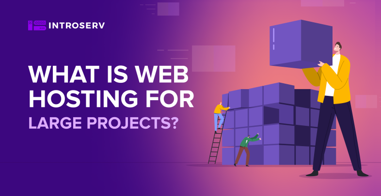 What is Web Hosting for Large Projects?
