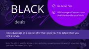 Black Friday deals are available for ALL INTROSERV's customers