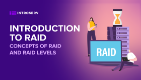General information about RAID: basic concepts