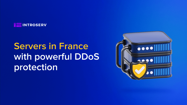 Servers in France with powerful DDoS protection