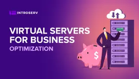Virtual servers for business optimization