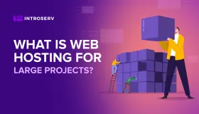 What is Web Hosting for Large Projects?
