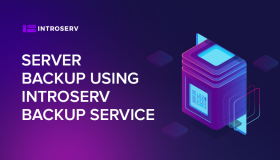Server backup using INTROSERV Backup service