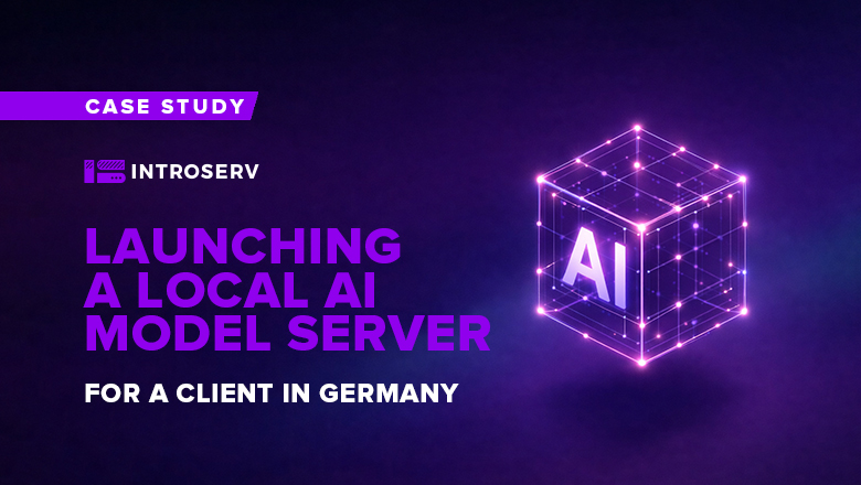 Launching a local AI model server for a German client