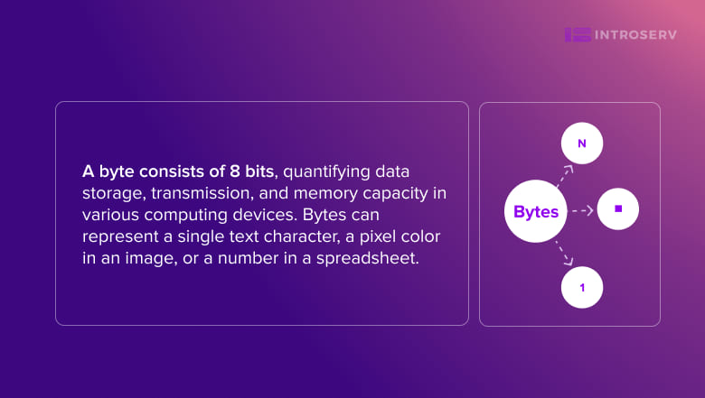 What is byte