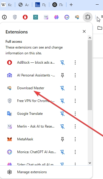 Download Master - multi-threaded file download