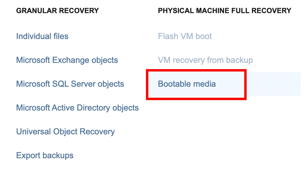 Server backup using INTROSERV Backup service