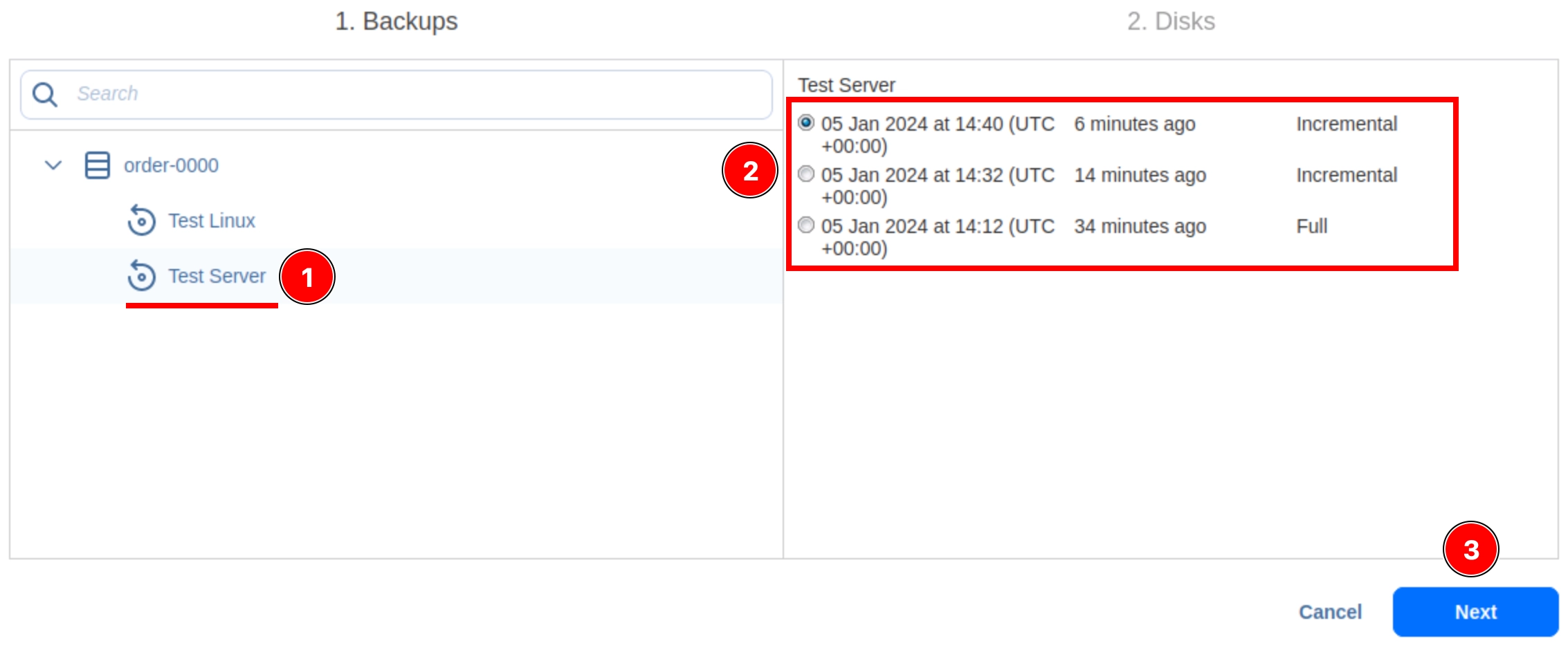 Server backup using INTROSERV Backup service