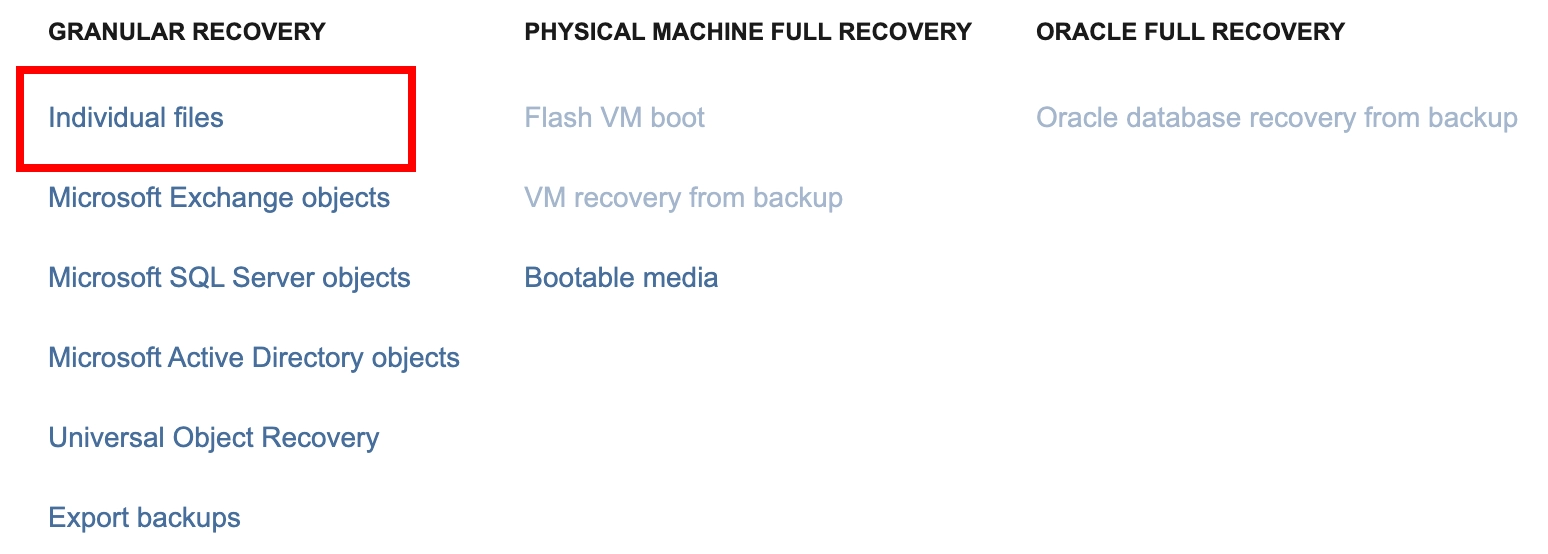 Server backup using INTROSERV Backup service