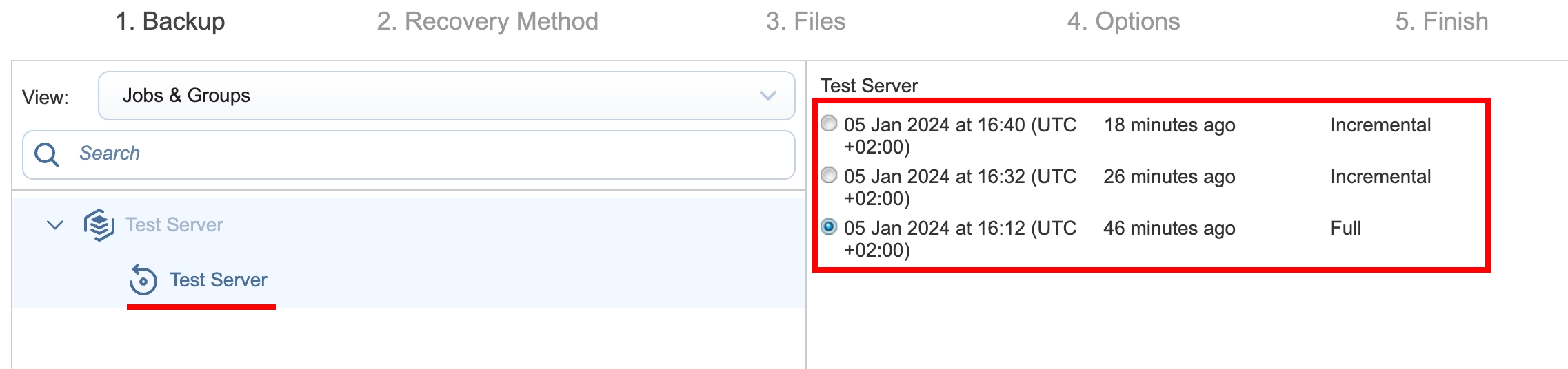 Server backup using INTROSERV Backup service