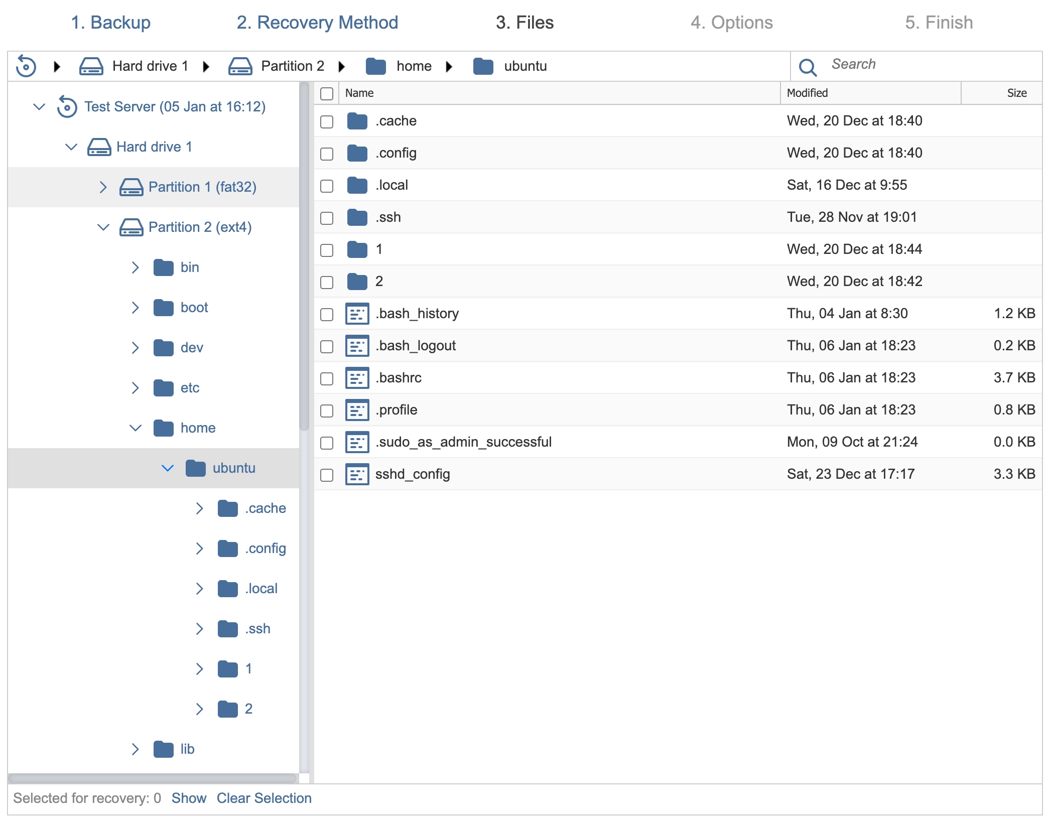 Server backup using INTROSERV Backup service