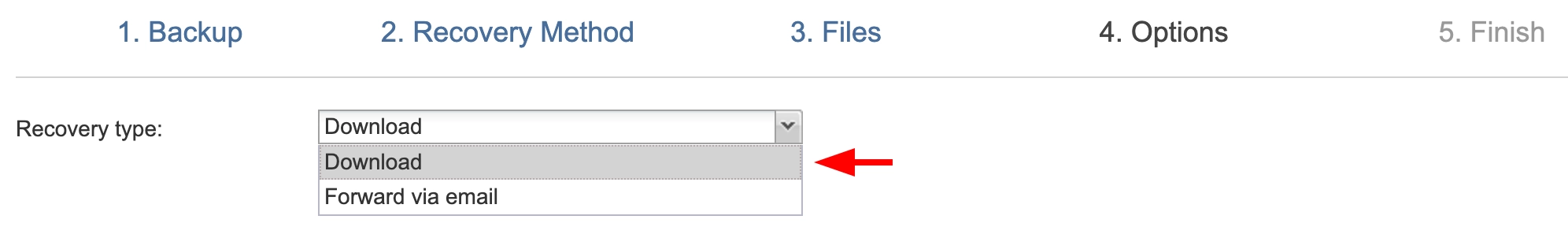 Server backup using INTROSERV Backup service