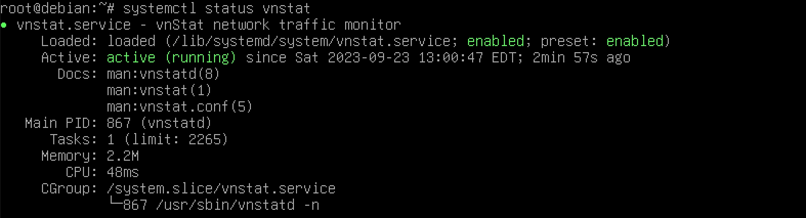 Logging and monitoring traffic consumption using VnStat