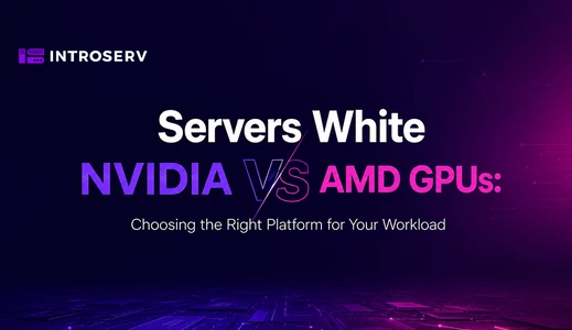 NVIDIA vs. AMD GPU-Server: So wählen Sie die richtige Plattform für Ihre Workloads
