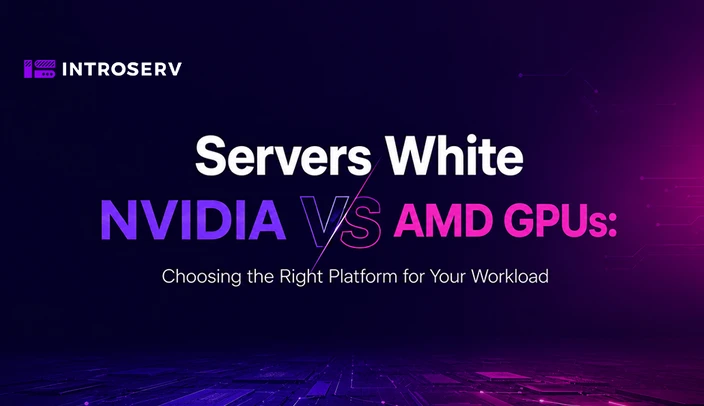 NVIDIA vs. AMD GPU-Server: So wählen Sie die richtige Plattform für Ihre Workloads