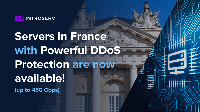Servidores en Francia con potente protección DDoS