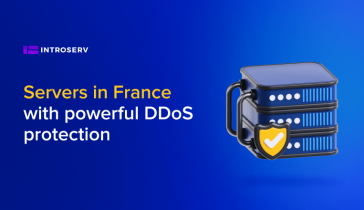 Server in Francia con una potente protezione DDoS