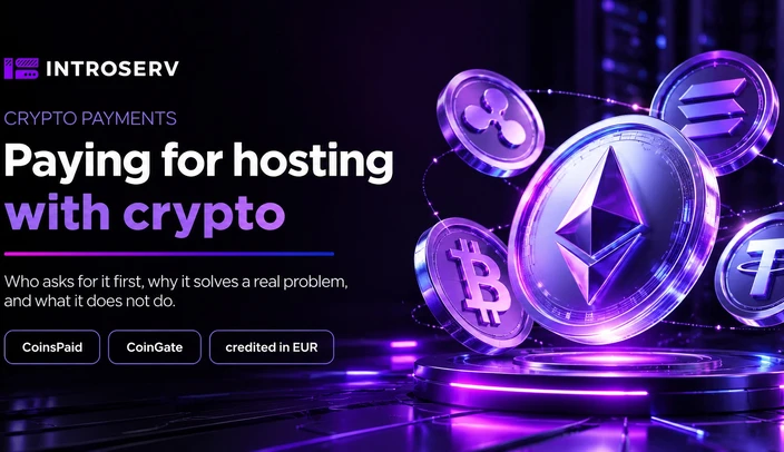 Pagare l’hosting con criptovalute: quando è più conveniente rispetto a carta o bonifico bancario