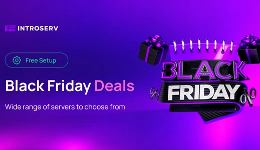 Black Friday deals are available for ALL INTROSERV's customers