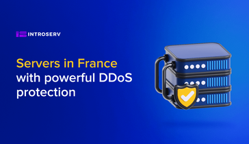 Servers in France with powerful DDoS protection
