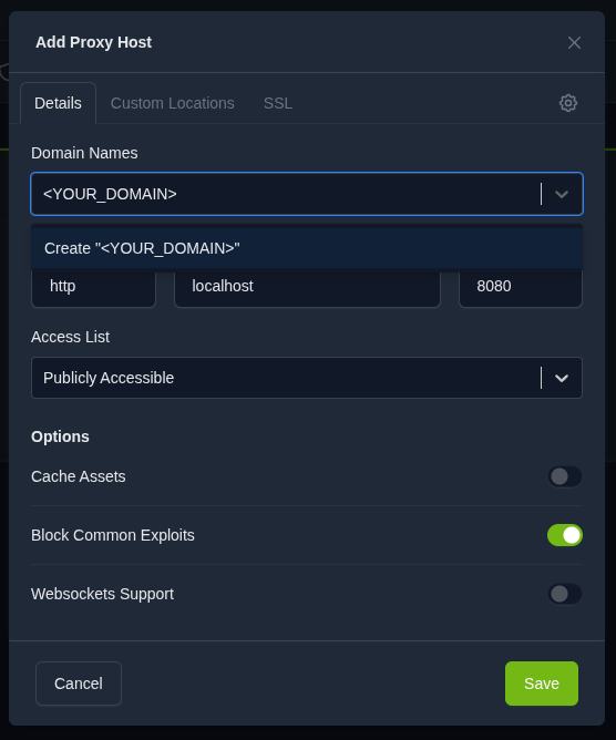 Add Proxy Host dialog in Nginx Proxy Manager