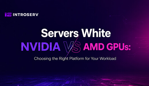 NVIDIA kontra AMD: Jak wybrać najlepszy serwer z procesorem graficznym do konkretnego obciążenia