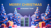 Команда INTROSERV поздравляет всех вас с зимними праздниками!