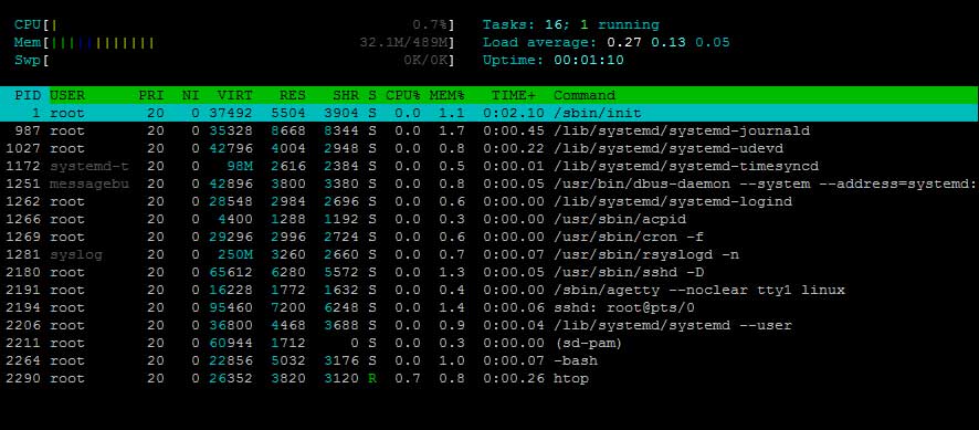 Uspešna povezava SSH PuTTY z avtentikacijo z javnim ključem: terminal prikazuje monitor procesov htop