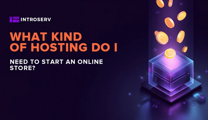 Online mağaza açmak için ne tür bir hostinge ihtiyacım var?