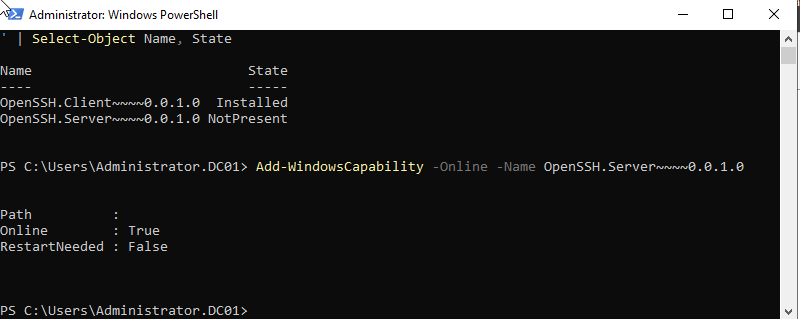 PowerShell'de OpenSSH Server özelliğinin kurulması