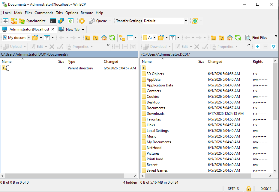 SFTP sunucusuna bağlı WinSCP, ana dizini gösteriyor